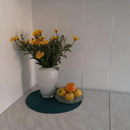 Sevid, Ana Adriatica, 20 Meters From The Sea Apartment