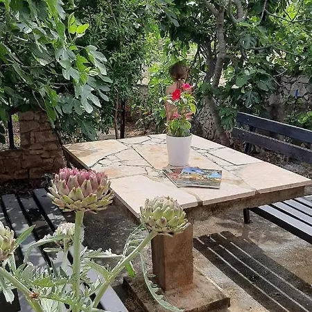 Sevid, Ana Adriatica, 20 Meters From The Sea Apartment
