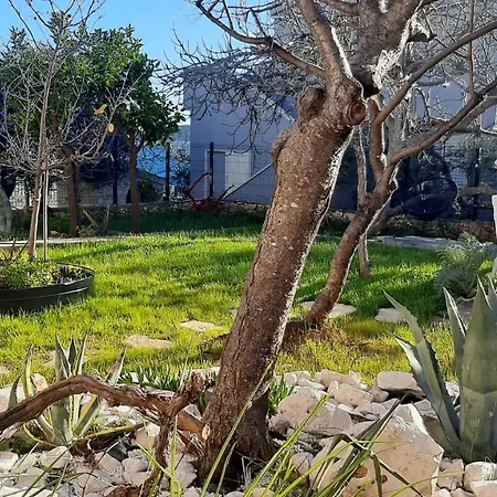 Sevid, Ana Adriatica, 20 Meters From The Sea Apartment *
